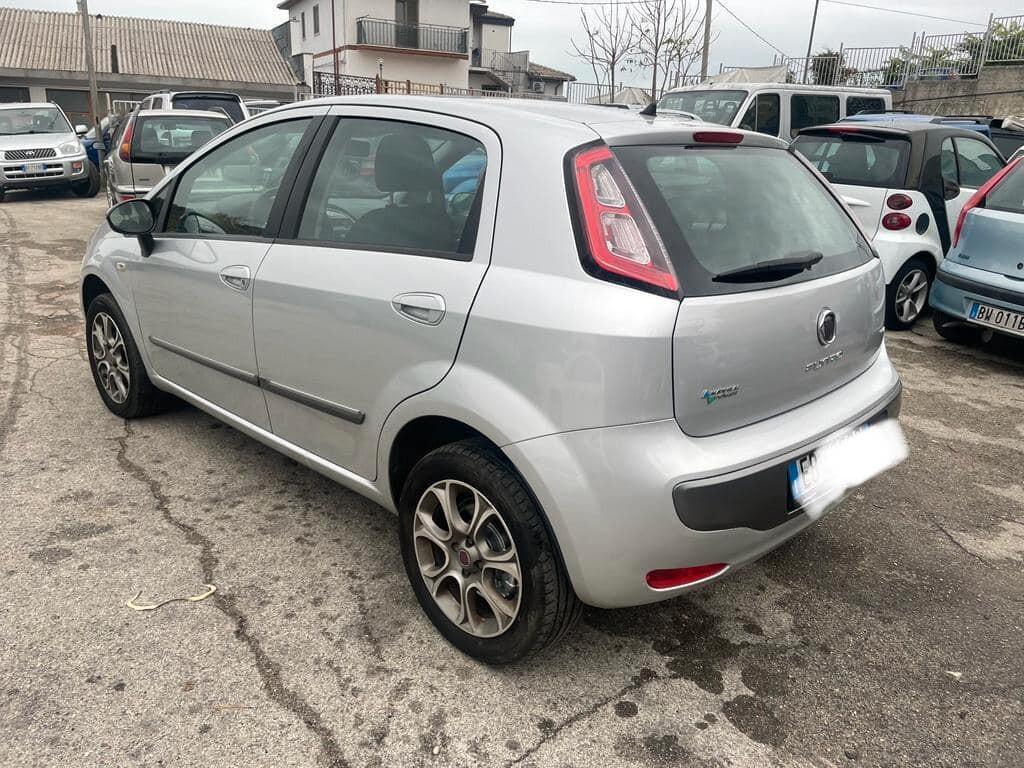Fiat Punto Evo Punto Evo 1.4 5 porte Active Natural Power