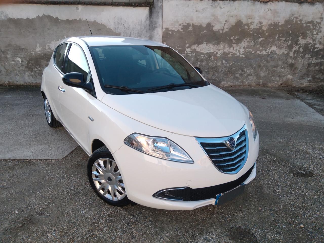 Lancia Ypsilon 1.2 69 CV 5 porte S&S Platinum x neopatentati