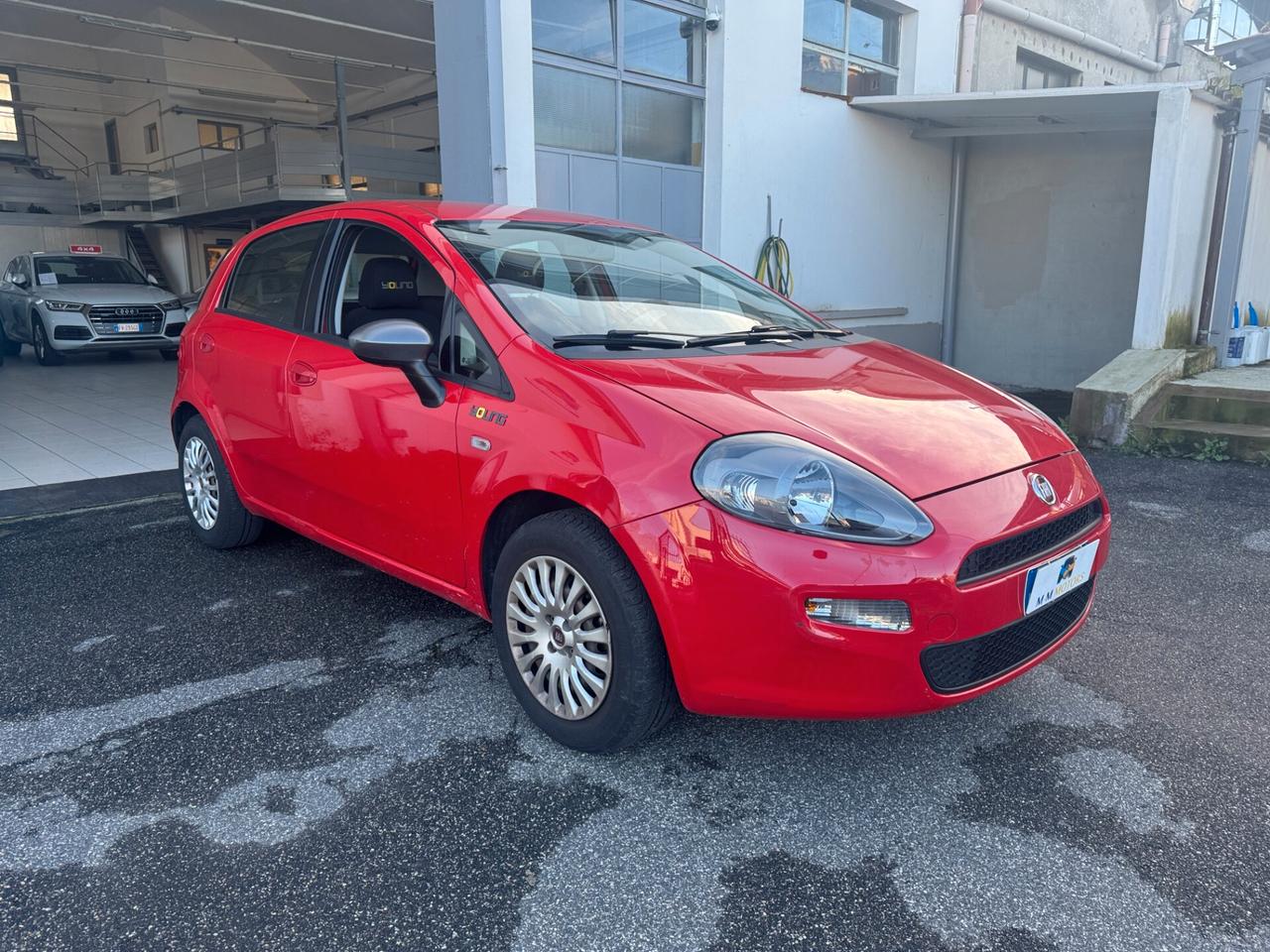 FIAT Punto 1.2 8V 5 porte Young ** NEOPATENTATI **