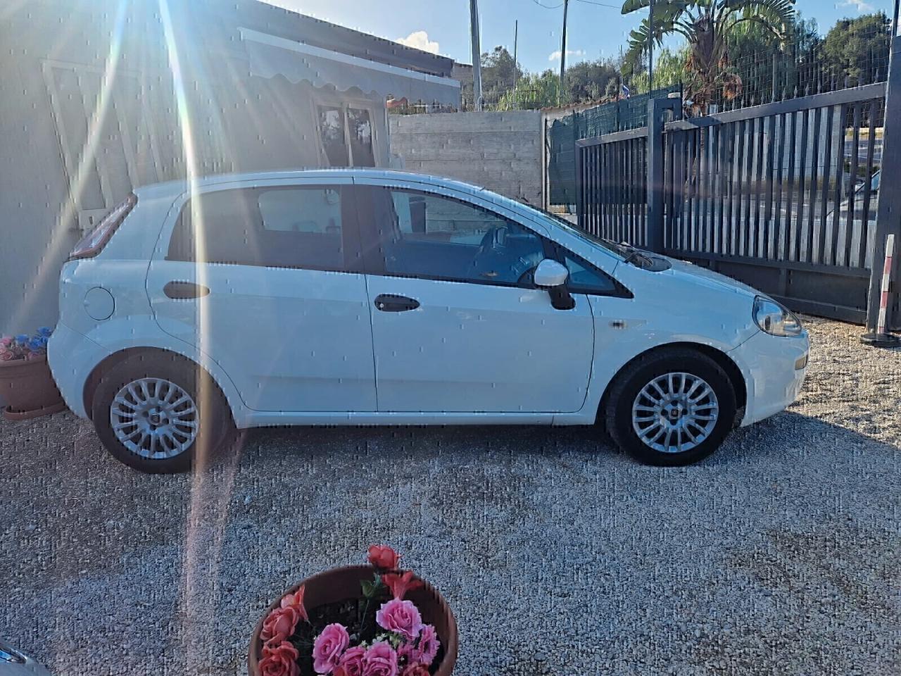 Fiat Punto Evo Punto Evo 1.3 Mjt 75 CV DPF 5 porte