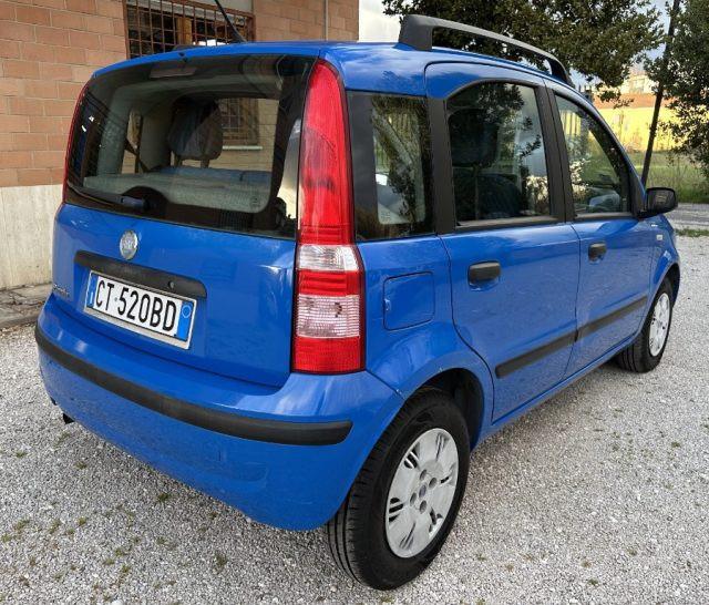 FIAT Panda 1.2 Dynamic 60 CV NEOPATENTATI GARANZIA