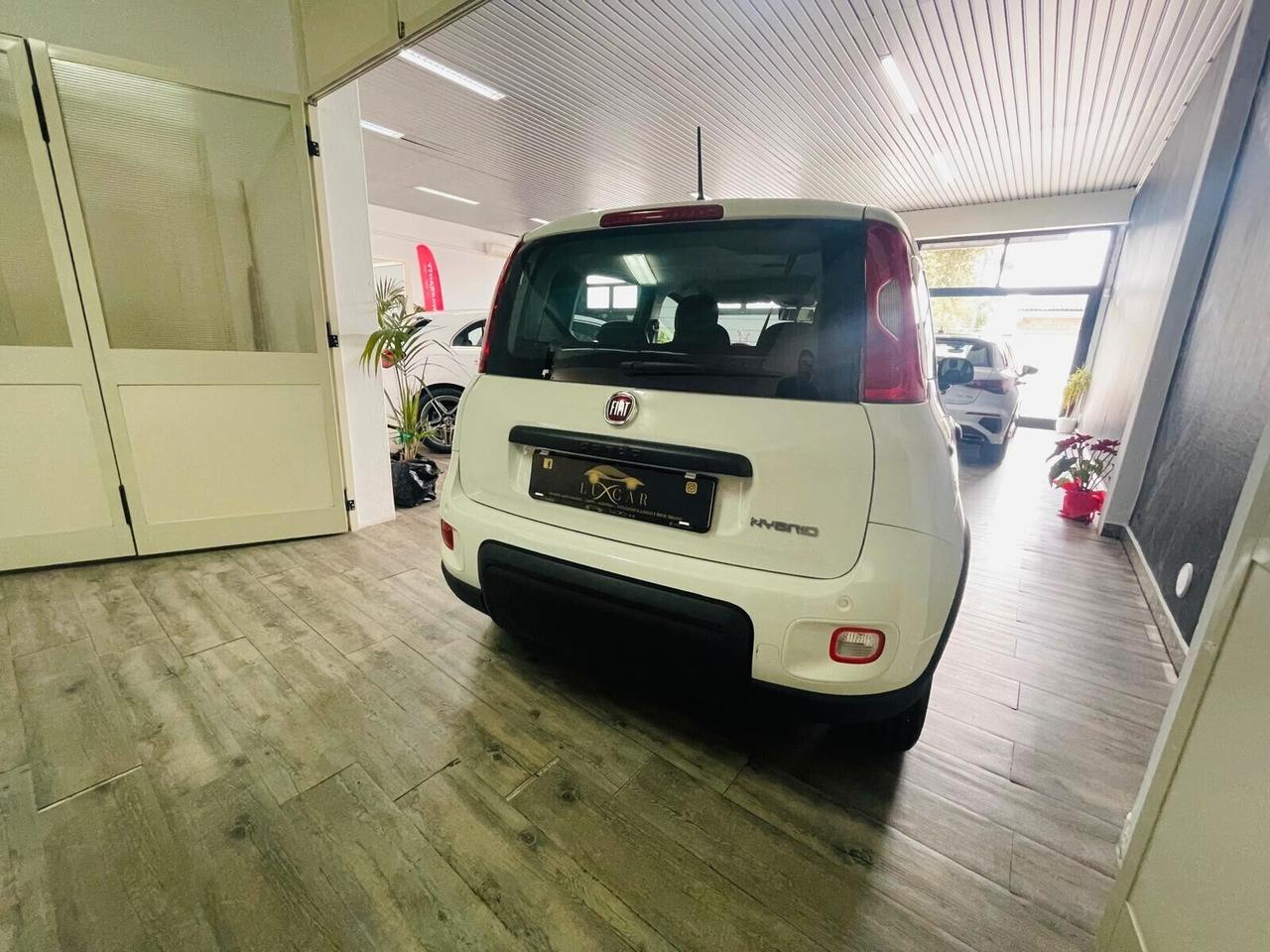 Fiat Panda 1.0 FireFly S&S Hybrid AZIENDALE 5 POSTI KM 1.633