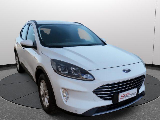 FORD Kuga 1.5 EcoBlue 120 CV 2WD Titanium Business