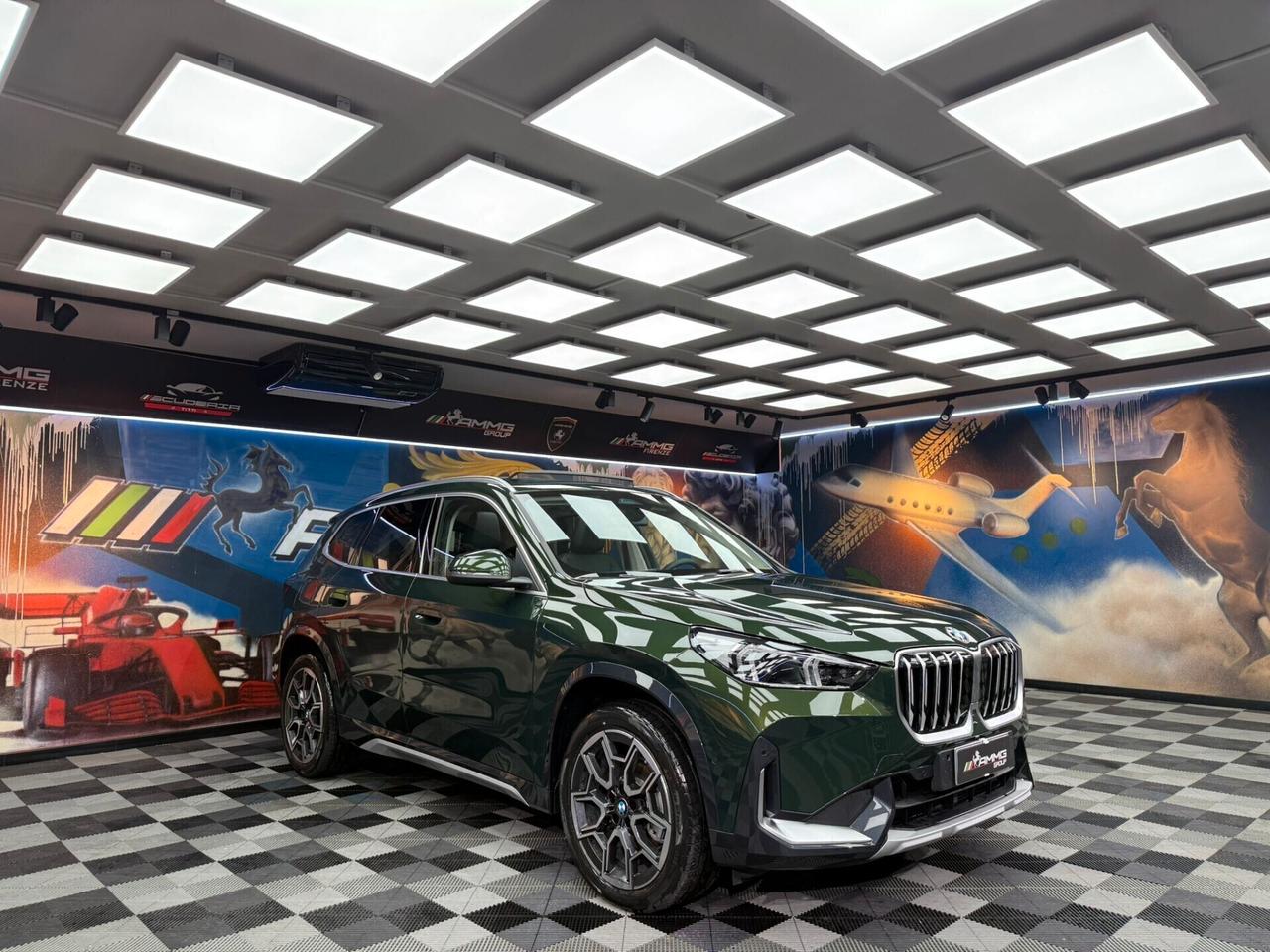 Bmw X1 sDrive 18d X Line (732)