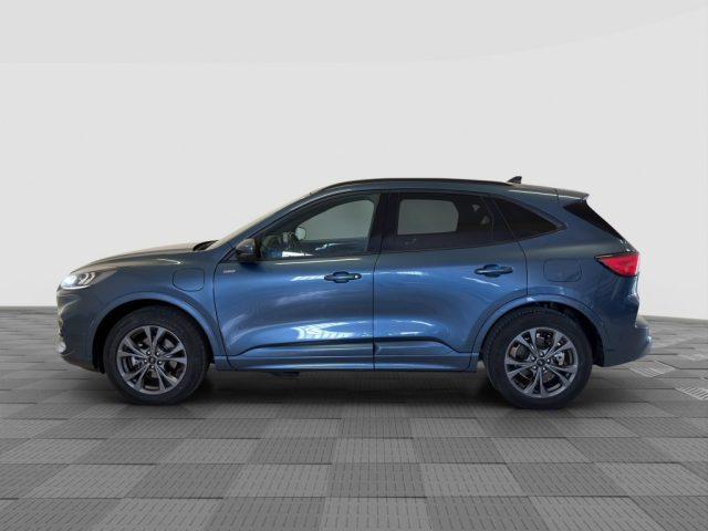 FORD Kuga Kuga 2.5 Plug In Hybrid 225 CV CVT 2WD ST-Line