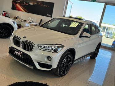 BMW X1 xDrive18d xLine Tetto/Pelle/LED