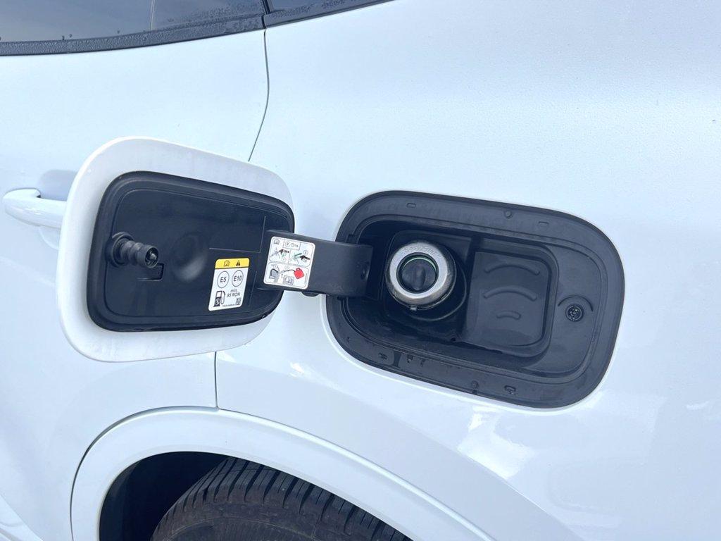 FORD Kuga 2.5 Full Hybrid 180 CV CVT 2WD ST-Line del 2025