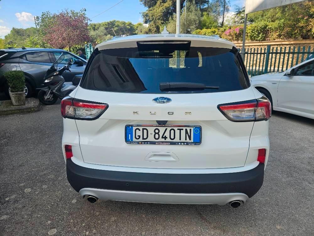 Ford Kuga 1.5 EcoBlue 120 CV 2WD Titanium