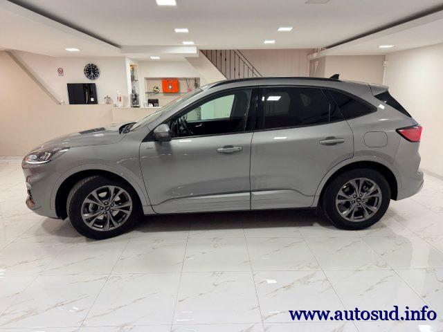 FORD Kuga 1.5 EcoBoost 150 CV S&S 2WD ST-Line Business