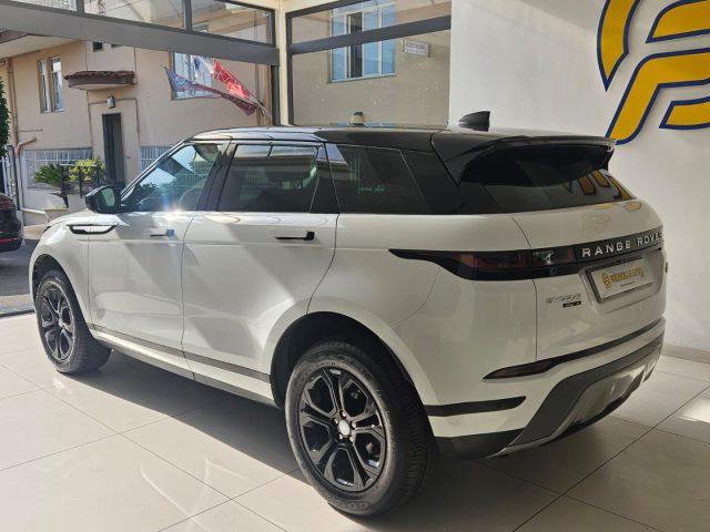 LAND ROVER Range Rover Evoque 2.0D I4 150CV AWD Business Edit. Premium