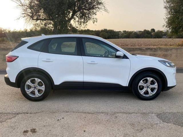 Ford Kuga 1.5 ecoblue Connect 2wd 120cv auto