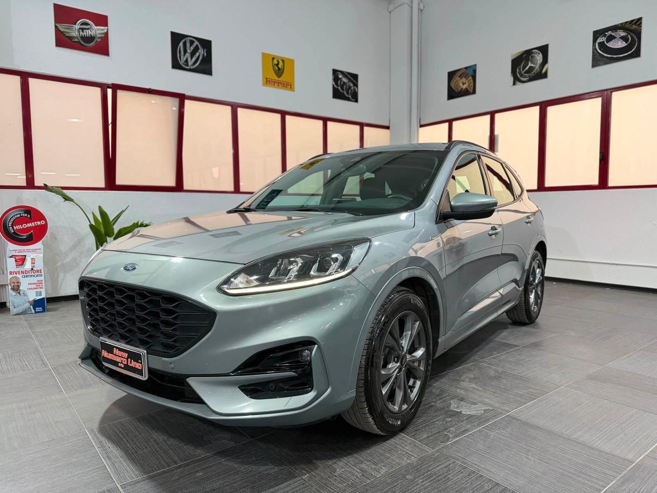 Ford Kuga 1.5 Ecoblue ST-Line 120cv Autom2022