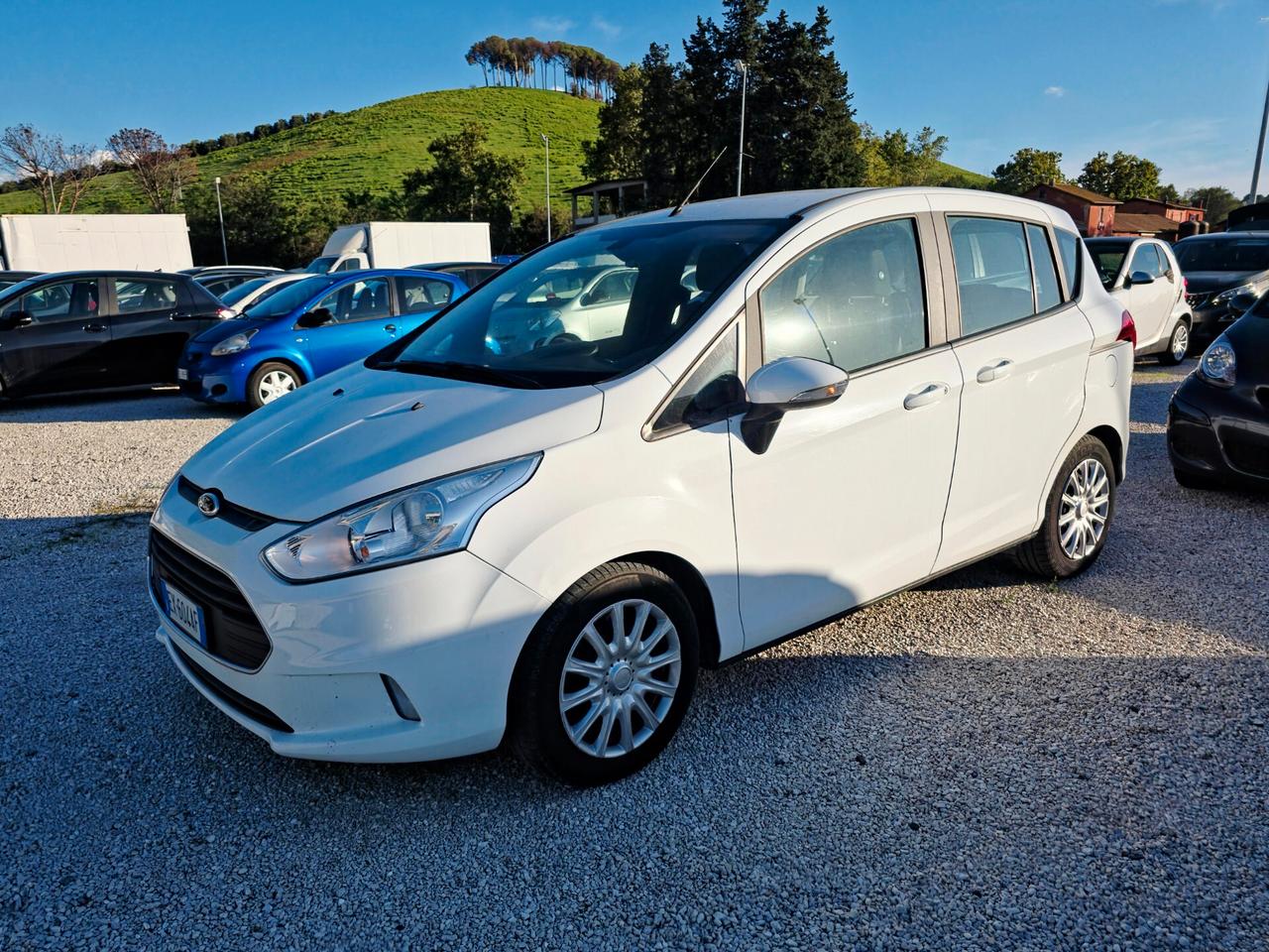 Ford B-Max 1.0 EcoBoost 100 CV Business Titanium 2014-E5B