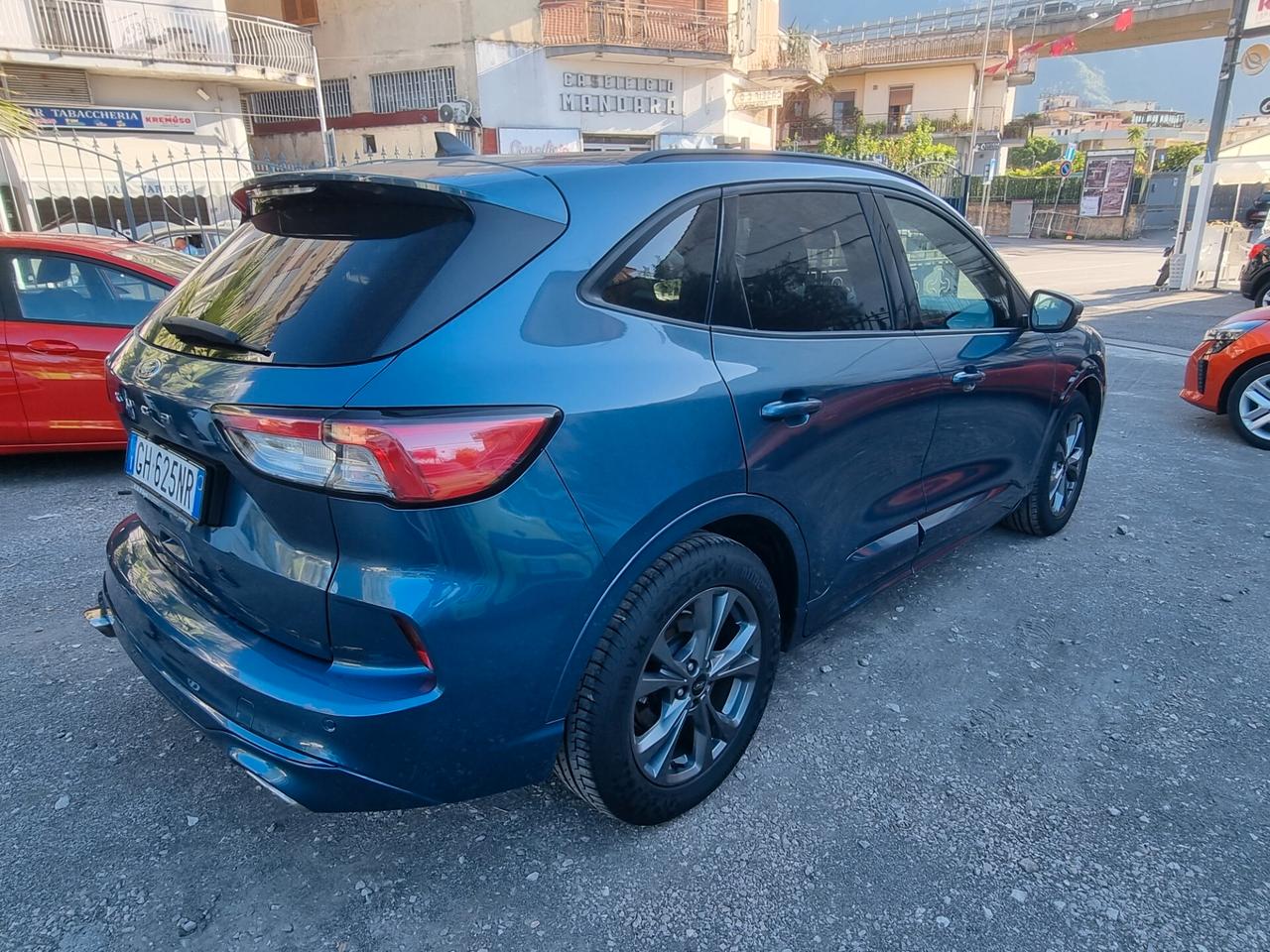 Ford Kuga 1.5 EcoBlue 120 CV aut. 2WD ST-Line