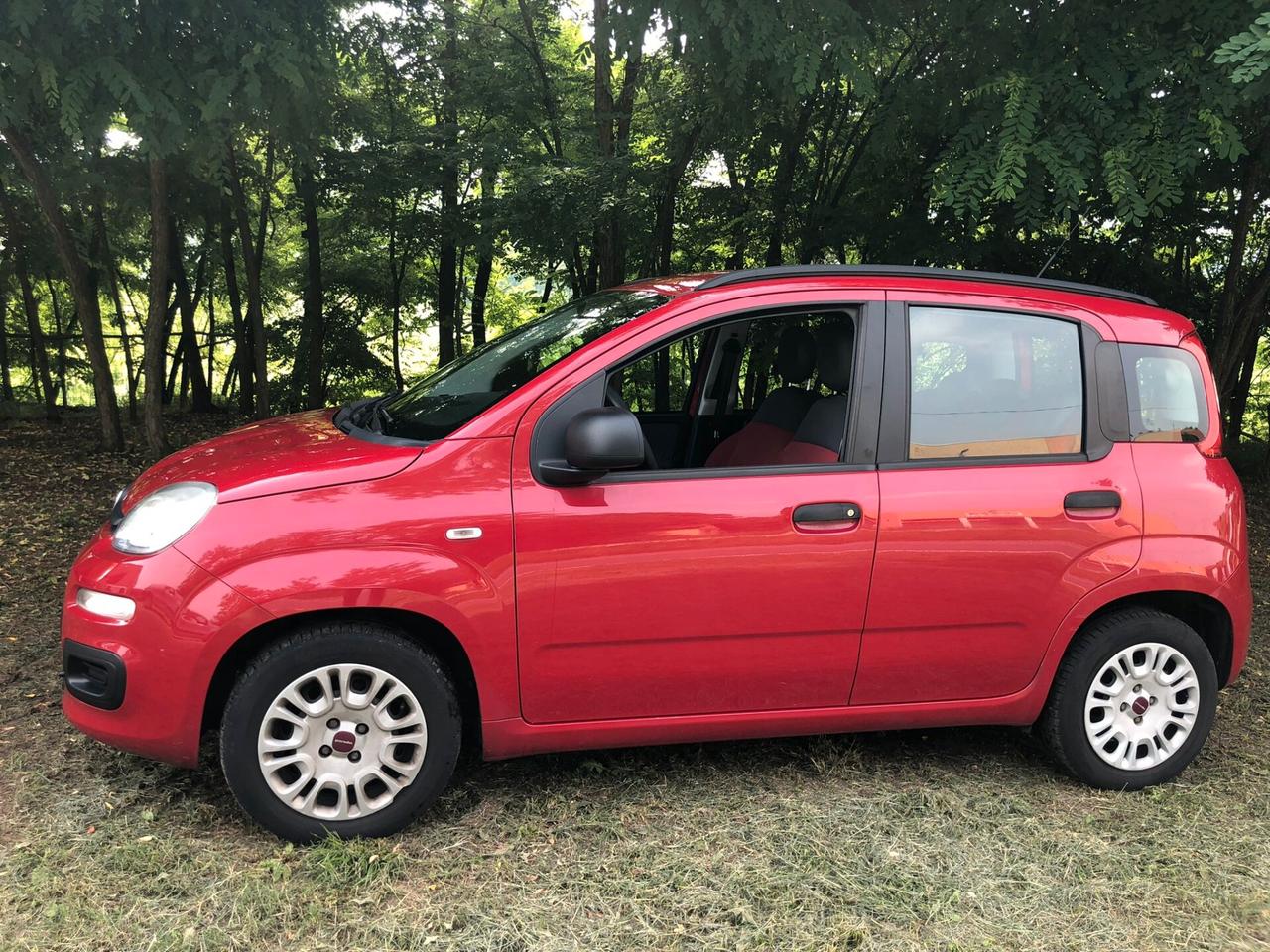 Panda 1.2 benzina garanzia