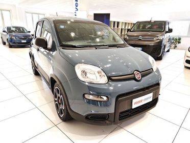 FIAT Panda Panda 1.0 firefly hybrid City Life s&s 70cv*5 POSTI*