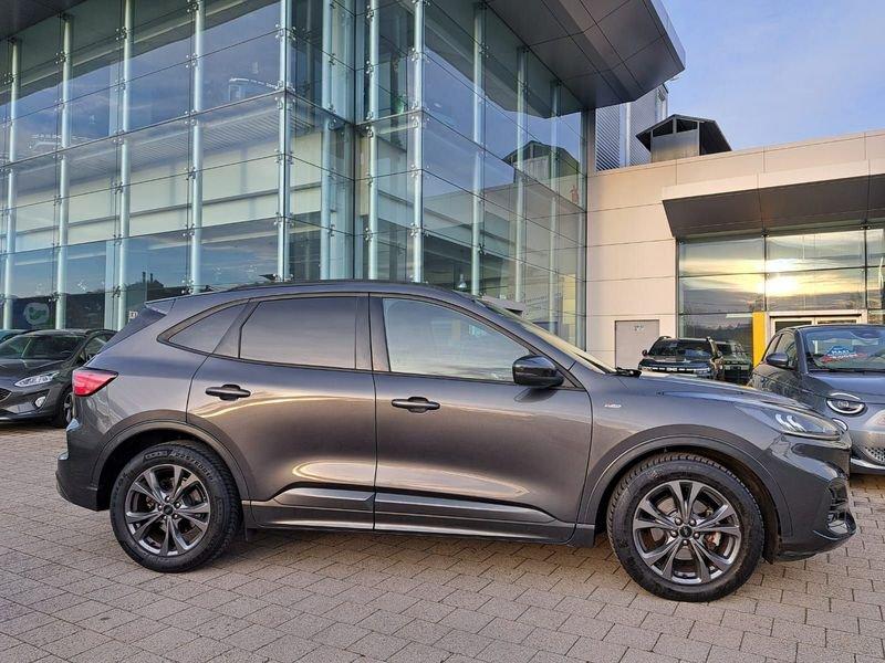 Ford Kuga 2.0 ecoblue mhev ST-Line 2wd 150cv