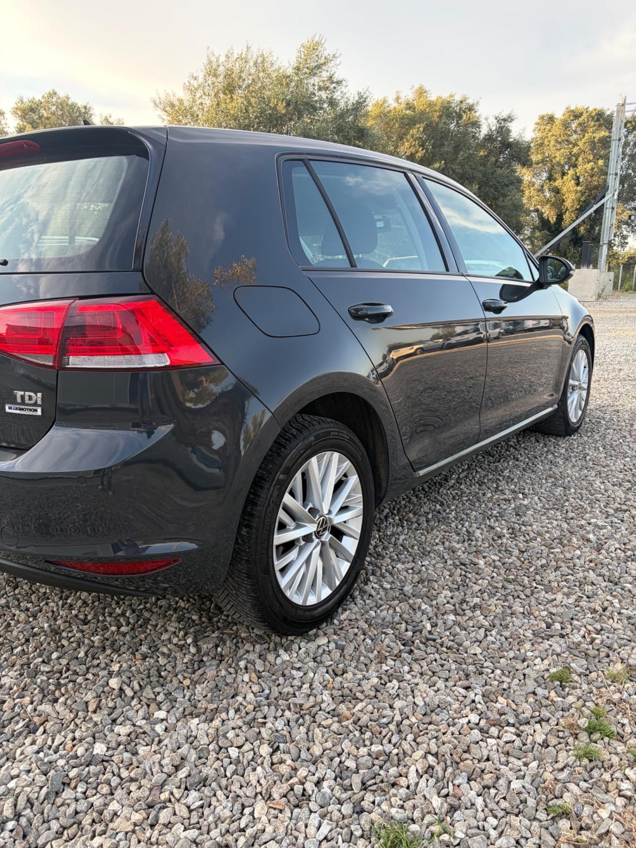 Volkswagen Golf Variant 1.6 TDI 90 CV Trendline BlueMotion Technology