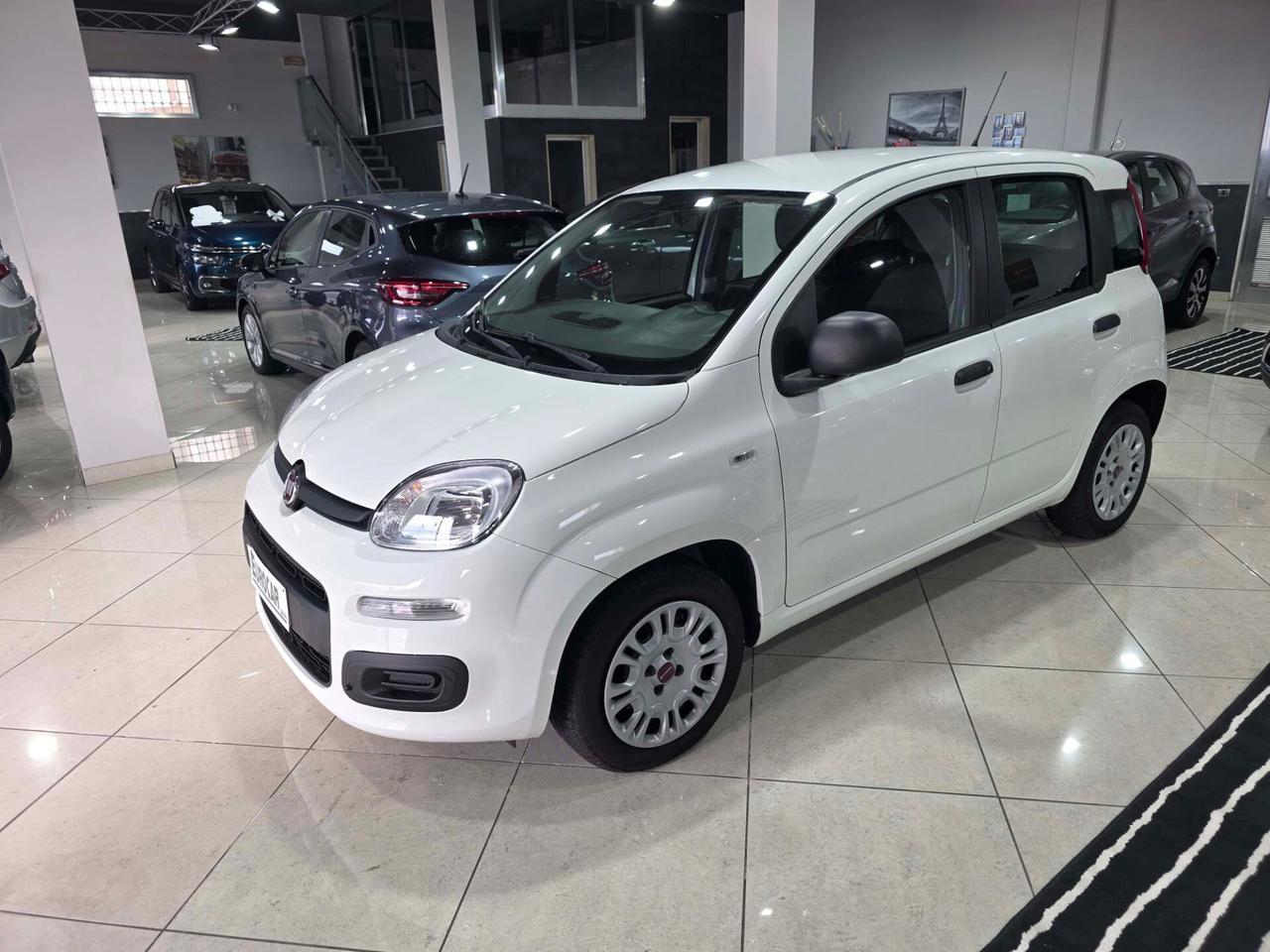 Fiat Panda 1.2 Pop