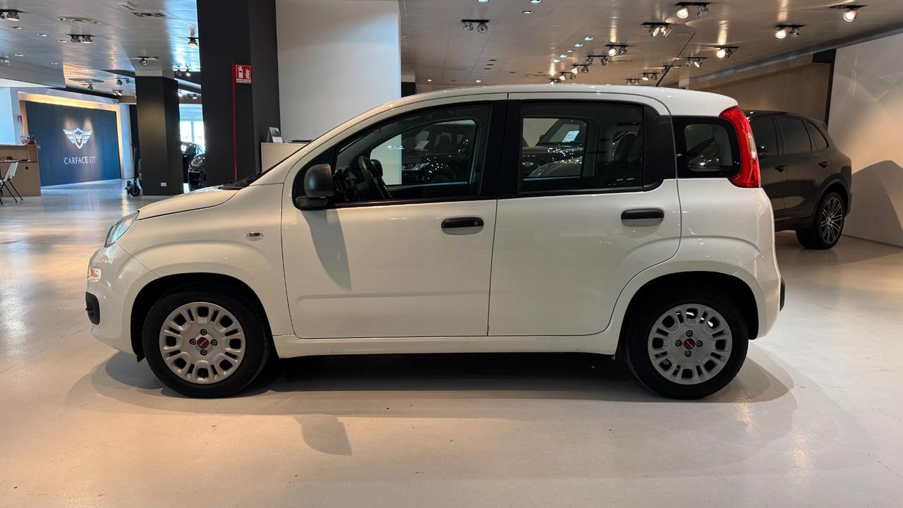 FIAT PANDA 1.0 70CV - 2022