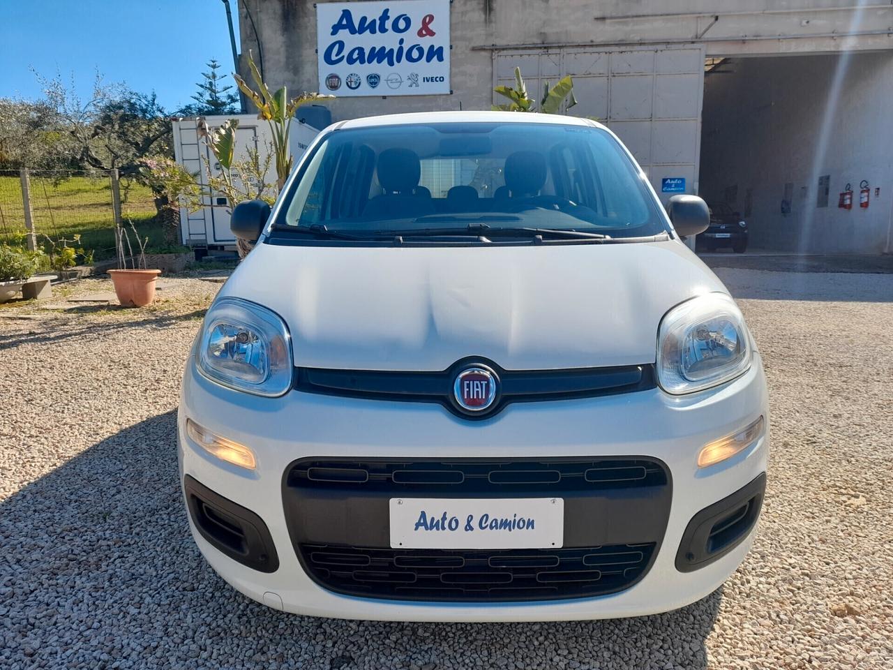 Fiat Panda 1.0FIREFLY S&S ANNO 2021 BENZINA
