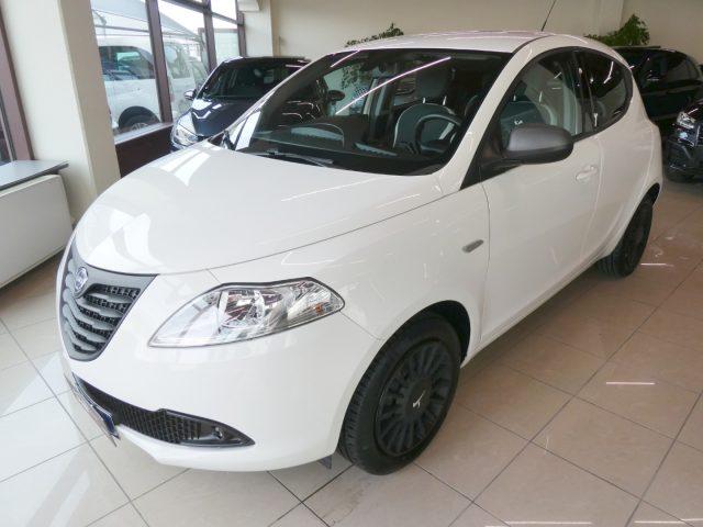 LANCIA Ypsilon 1.2 Elefantino 69 Cv 5 Posti - OK NEOPATENTATI