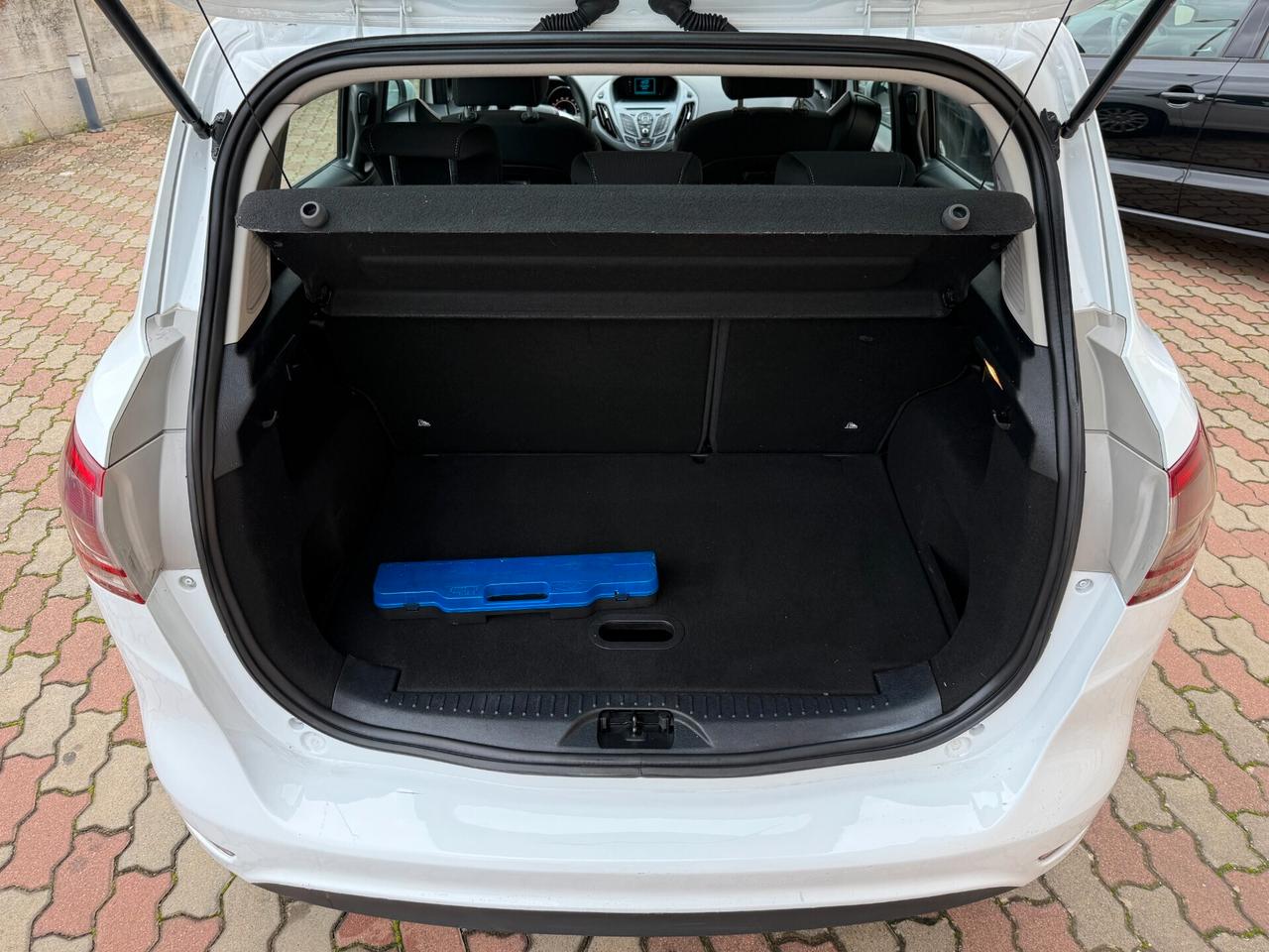 Ford B-Max 1.5 TDCi 75 CV Business