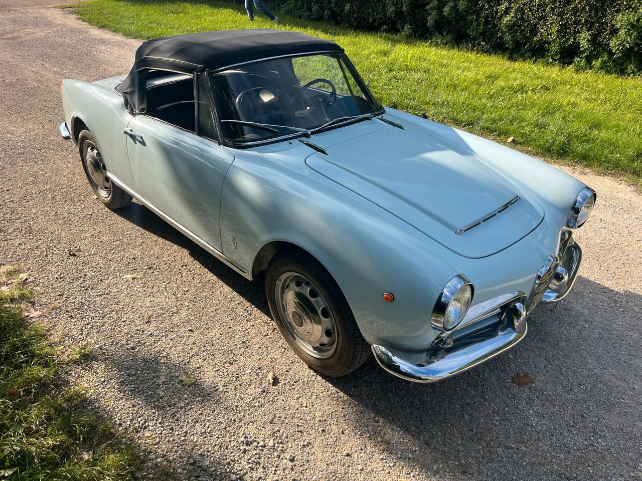 Alfa Romeo Giulia Spider