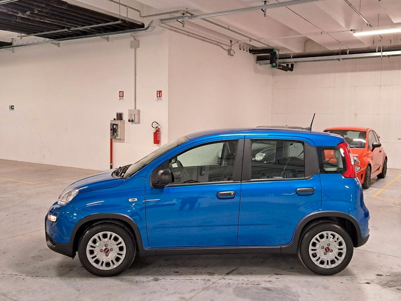 Fiat Panda 1000 FireFly Hybrid 70CV Panda 5 Porte Km. Zero