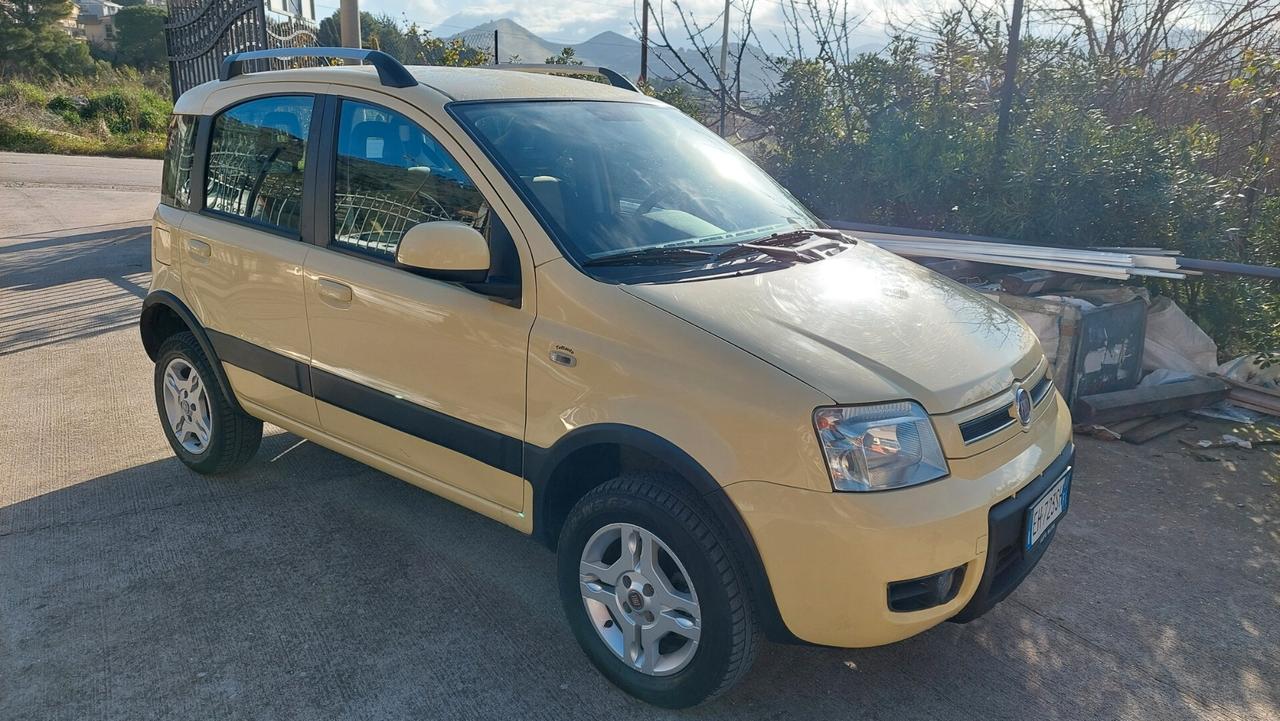 Fiat Panda 1.3 MJT 16V DPF 4x4 Climbing