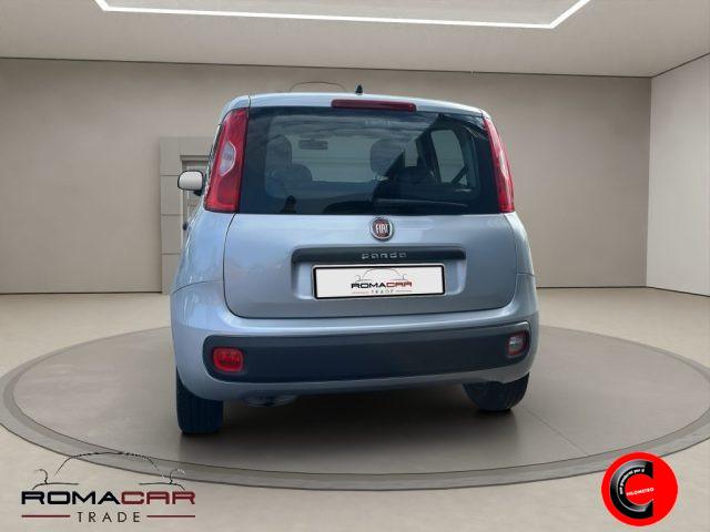 FIAT Panda 3ª serie - 1.2 Easy