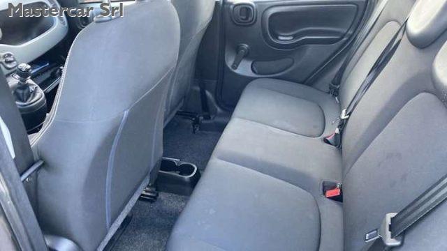 FIAT Panda Panda III 2021 1.0 firefly hybrid tg : GP621BA