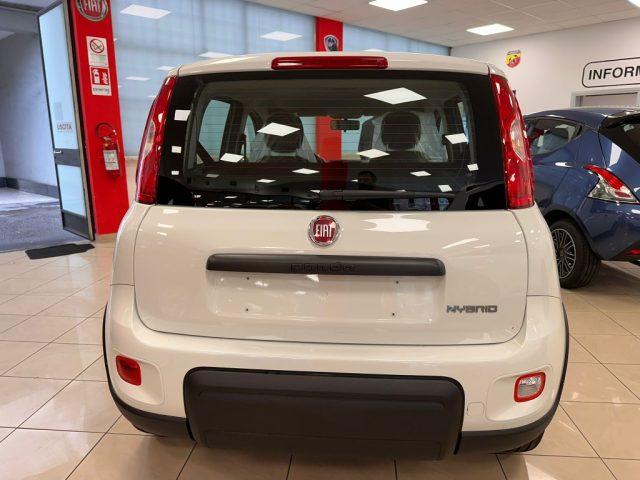 FIAT Panda 1.0 Hybrid PROMO CAR SERENITY