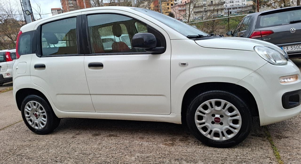 PANDA 1.2 BENZINA 2019