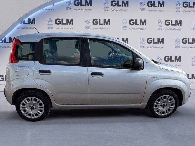 FIAT Panda 1.2 69cv Young