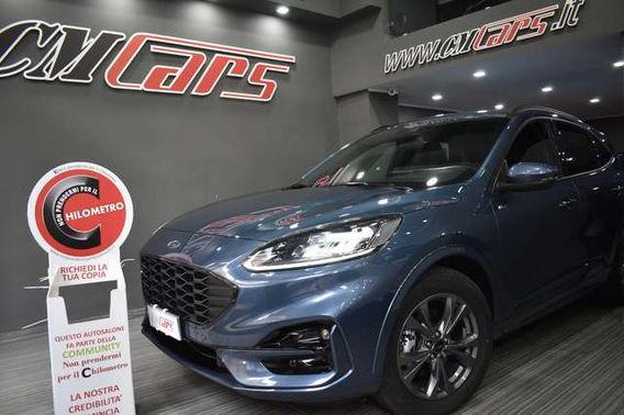 Ford Kuga 2.0 EcoBlue 120cv Automatica ST-Line X 2WD KM0