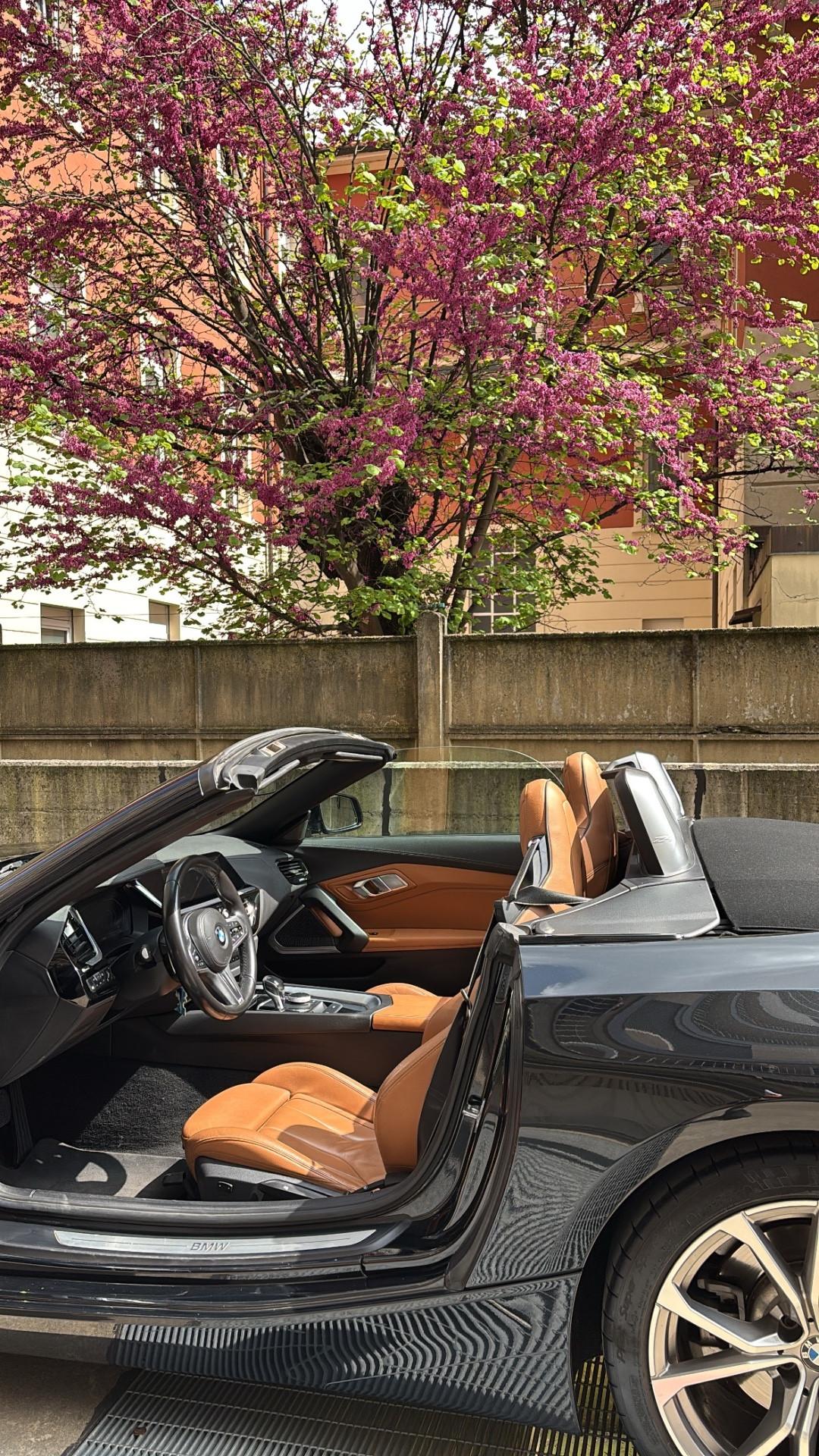 Bmw Z4 sDrive20i MSport