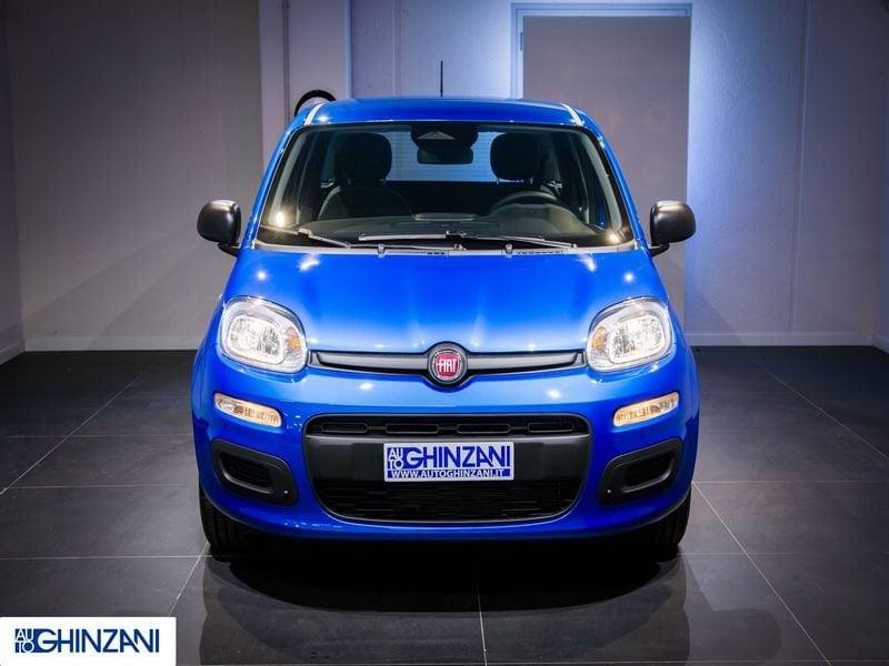FIAT Panda Panda 1.0 FireFly S&S Hybrid Icon - "PREZZO VERO"