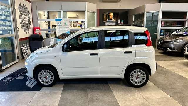 Fiat Panda 1.2 69CV S&S E6d-Temp Easy +NeoPatentato