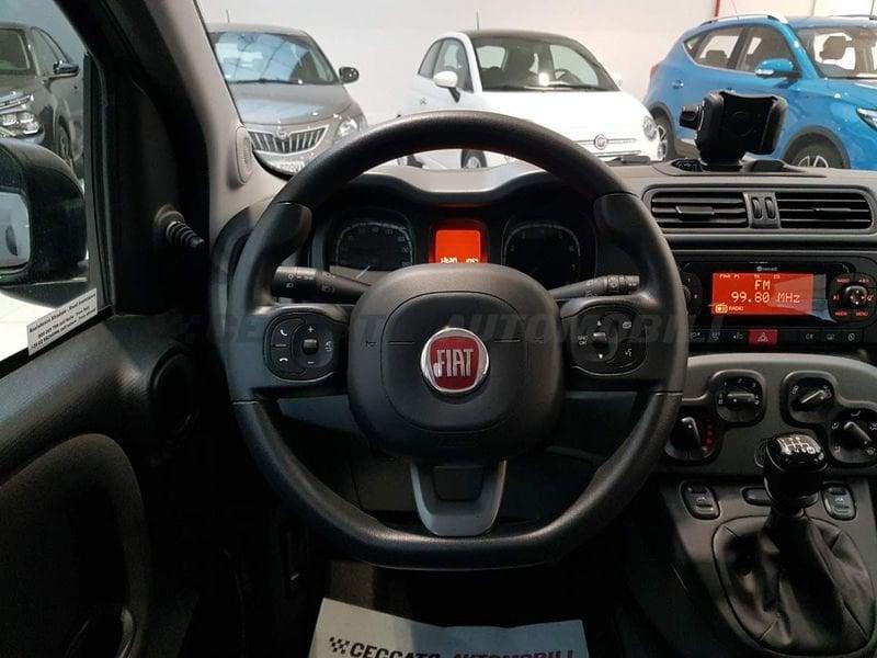 FIAT Panda Panda 1.0 firefly hybrid City Life s&s 70cv 5p.ti