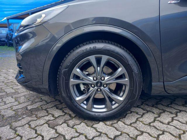 FORD Kuga 2.0 EcoBlue 120 CV aut. 2WD ST-Line