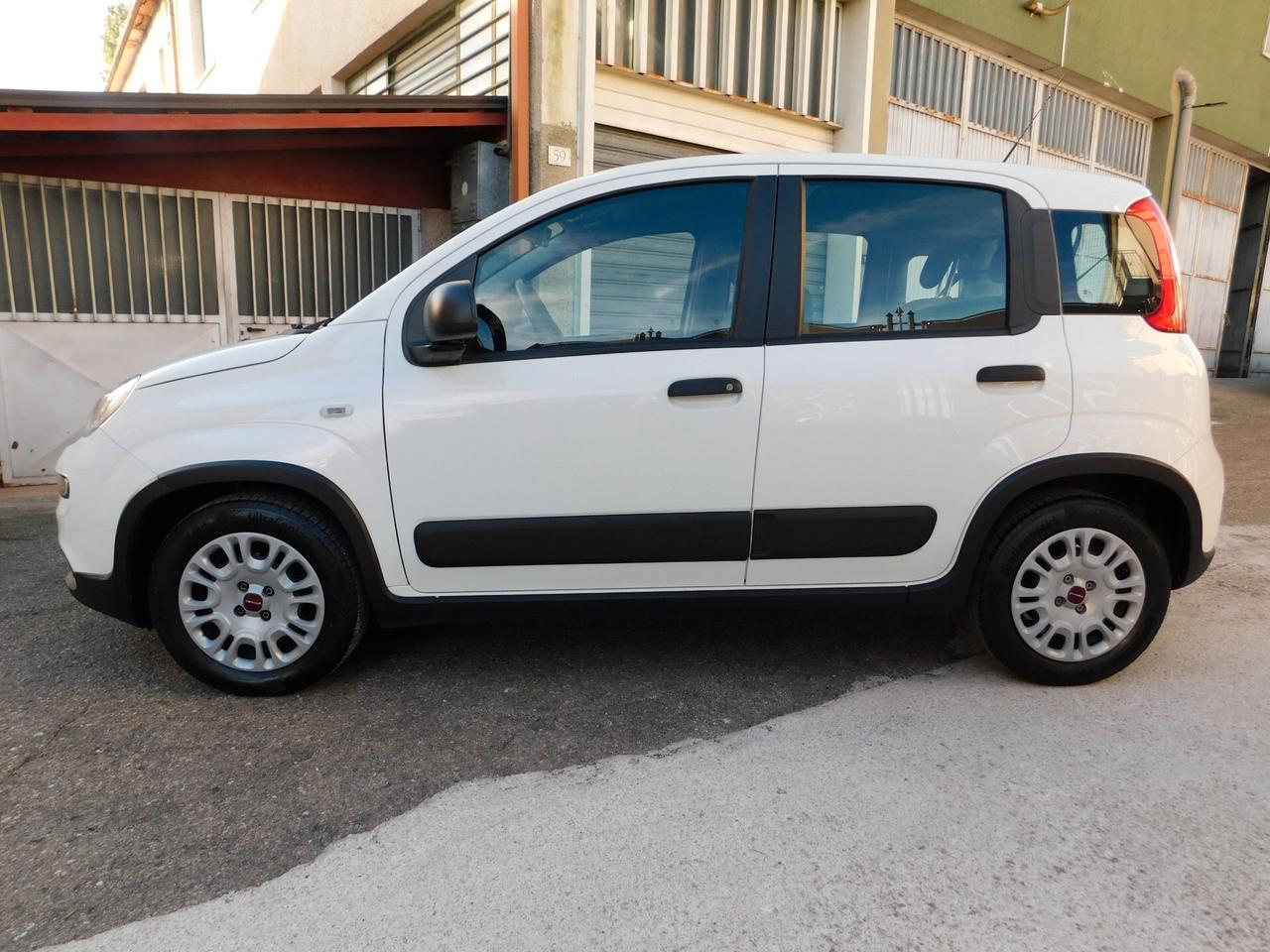 PANDA 1.0 Hybrid AUTOCARRO 4posti N1