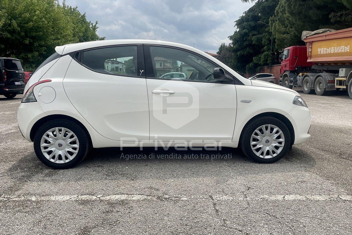 LANCIA Ypsilon 1.2 69 CV 5 porte GPL Ecochic Elefantino