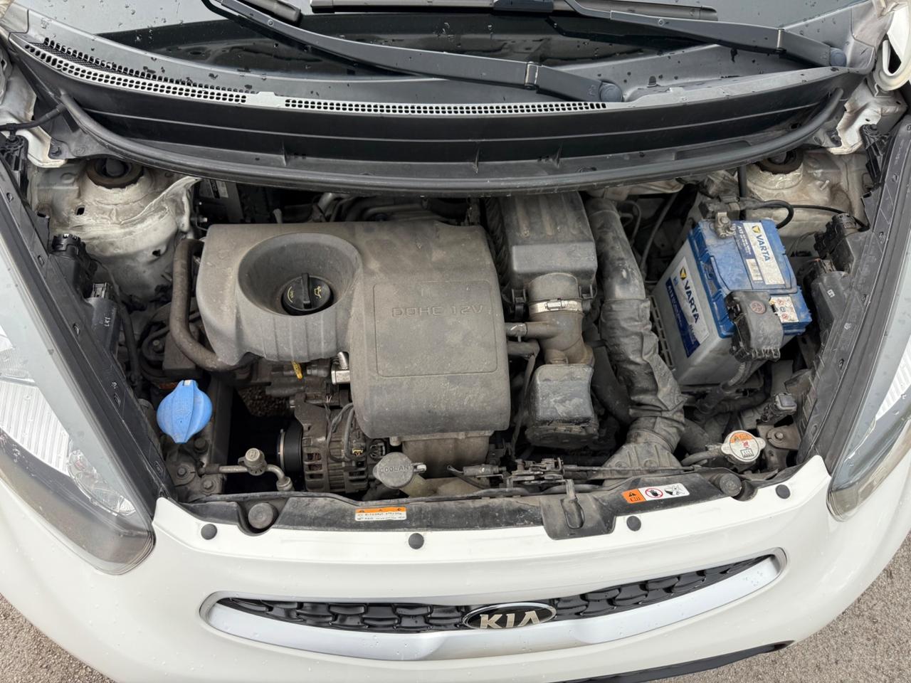 Kia Picanto 1.0 12V EcoGPL 5 porte Active Collection
