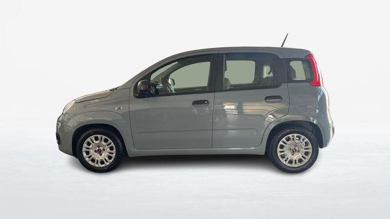 FIAT Panda 1.0 FireFly Hybrid 70cv S&S 5p.ti