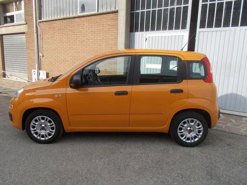 FIAT Panda 1.0 FireFly 70cv S&S Hybrid 338.7575187 MARCO MASSARI