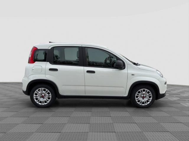 FIAT Panda Panda 1.0 FireFly S&S Hybrid