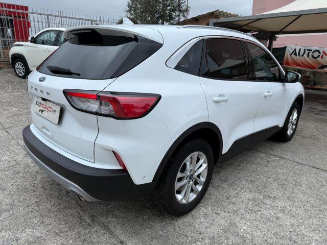 FORD Kuga 1.5 EcoBlue 120CV aut. 2WD Titanium Business