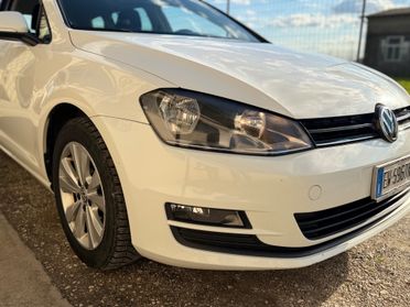Volkswagen Golf Variant Business 1.6 TDI 105 CV DSG Highline BMT