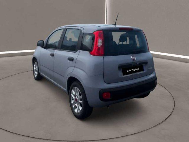 FIAT Panda 3ª serie - 1.0 FireFly S&S Hybrid